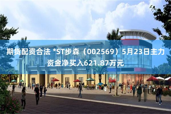 期货配资合法 *ST步森（002569）5月23日主力资金净买入621.87万元