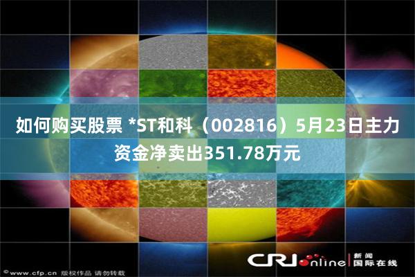 如何购买股票 *ST和科（002816）5月23日主力资金净卖出351.78万元