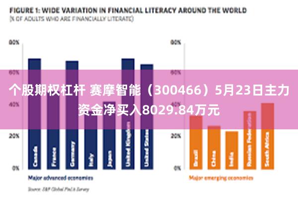 个股期权杠杆 赛摩智能（300466）5月23日主力资金净买入8029.84万元