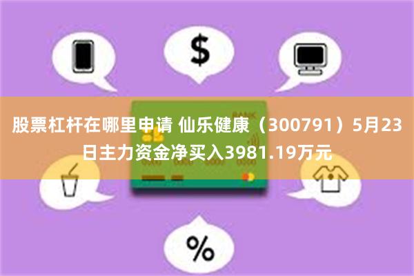 股票杠杆在哪里申请 仙乐健康（300791）5月23日主力资金净买入3981.19万元