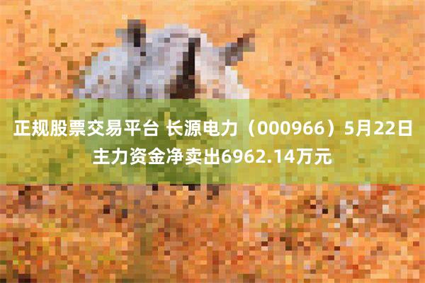 正规股票交易平台 长源电力（000966）5月22日主力资金净卖出6962.14万元