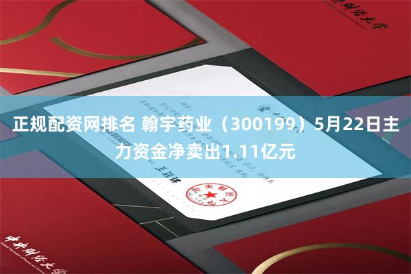 正规配资网排名 翰宇药业（300199）5月22日主力资金净卖出1.11亿元