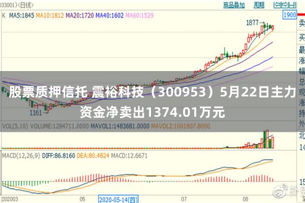 股票质押信托 震裕科技（300953）5月22日主力资金净卖出1374.01万元