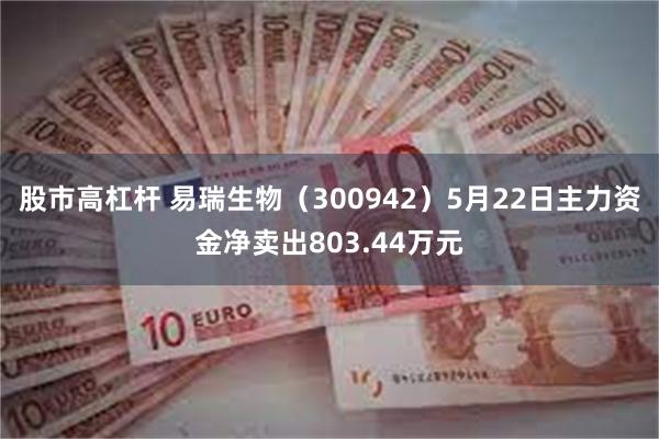 股市高杠杆 易瑞生物（300942）5月22日主力资金净卖出803.44万元