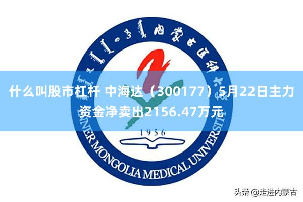 什么叫股市杠杆 中海达（300177）5月22日主力资金净卖出2156.47万元