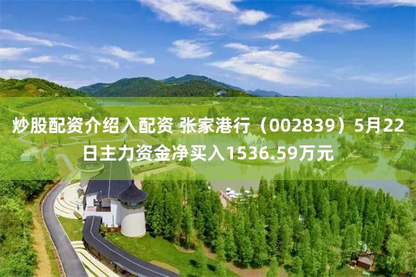 炒股配资介绍入配资 张家港行（002839）5月22日主力资金净买入1536.59万元
