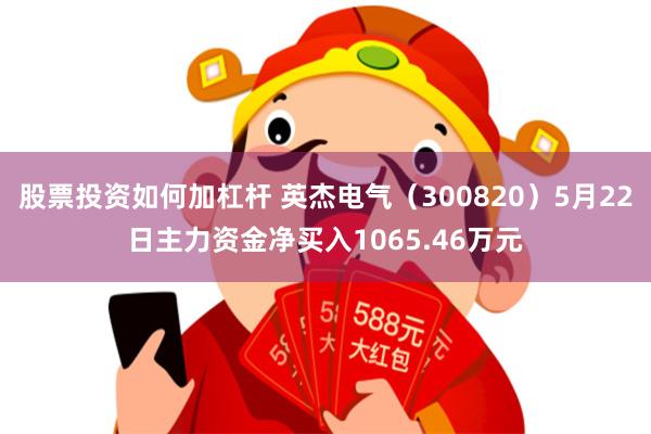 股票投资如何加杠杆 英杰电气（300820）5月22日主力资金净买入1065.46万元