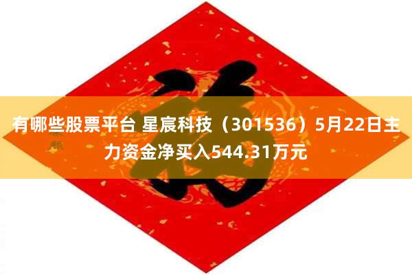 有哪些股票平台 星宸科技（301536）5月22日主力资金净买入544.31万元