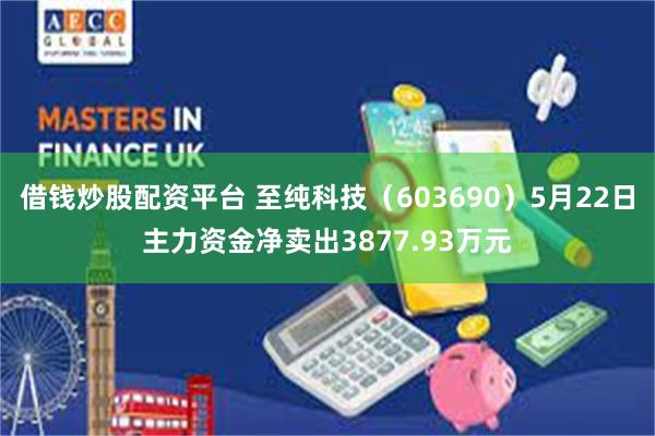 借钱炒股配资平台 至纯科技（603690）5月22日主力资金净卖出3877.93万元