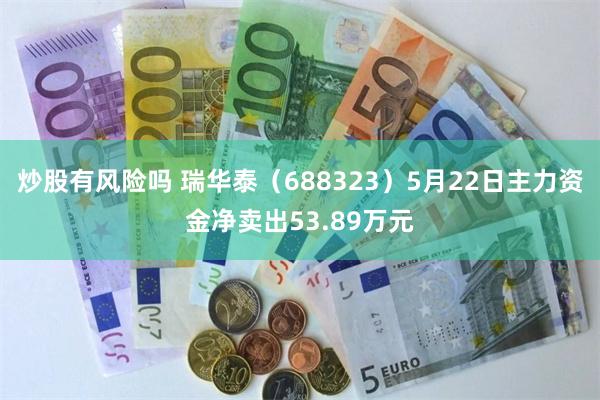 炒股有风险吗 瑞华泰（688323）5月22日主力资金净卖出53.89万元
