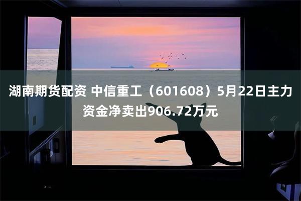 湖南期货配资 中信重工（601608）5月22日主力资金净卖出906.72万元
