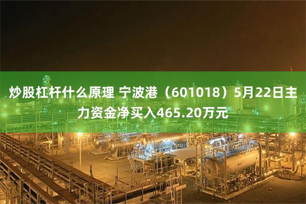 炒股杠杆什么原理 宁波港（601018）5月22日主力资金净买入465.20万元