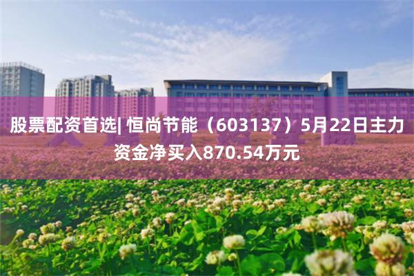 股票配资首选| 恒尚节能（603137）5月22日主力资金净买入870.54万元