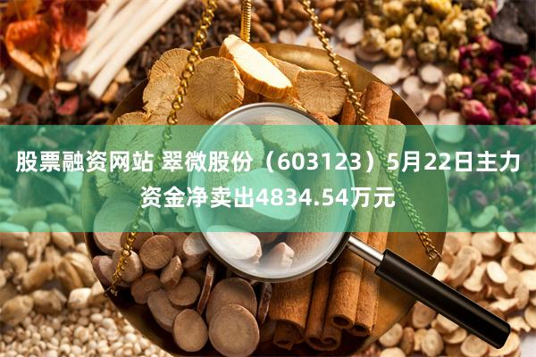 股票融资网站 翠微股份（603123）5月22日主力资金净卖出4834.54万元