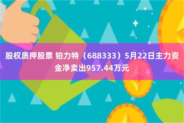 股权质押股票 铂力特（688333）5月22日主力资金净卖出957.44万元
