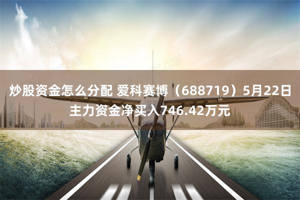 炒股资金怎么分配 爱科赛博（688719）5月22日主力资金净买入746.42万元