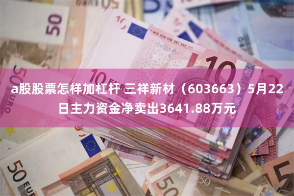 a股股票怎样加杠杆 三祥新材（603663）5月22日主力资金净卖出3641.88万元