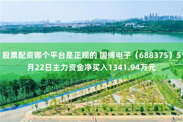 股票配资哪个平台是正规的 国博电子（688375）5月22日主力资金净买入1341.94万元