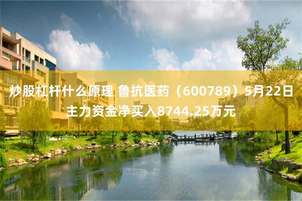 炒股杠杆什么原理 鲁抗医药（600789）5月22日主力资金净买入8744.25万元