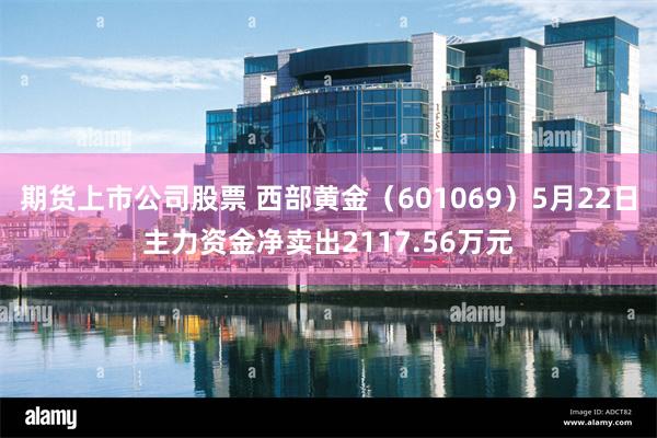 期货上市公司股票 西部黄金（601069）5月22日主力资金净卖出2117.56万元