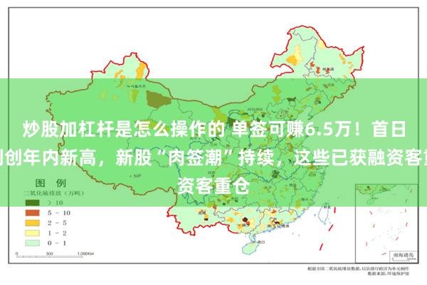 炒股加杠杆是怎么操作的 单签可赚6.5万！首日盈利创年内新高，新股“肉签潮”持续，这些已获融资客重仓