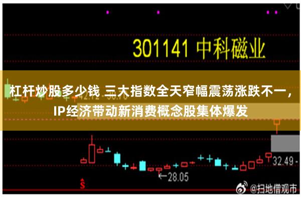 杠杆炒股多少钱 三大指数全天窄幅震荡涨跌不一，IP经济带动新消费概念股集体爆发