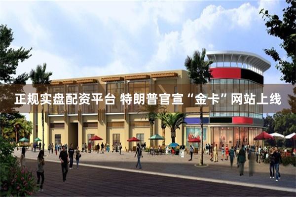 正规实盘配资平台 特朗普官宣“金卡”网站上线