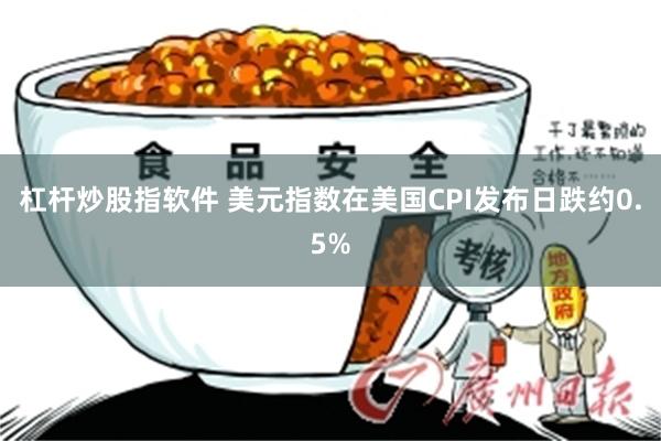 杠杆炒股指软件 美元指数在美国CPI发布日跌约0.5%