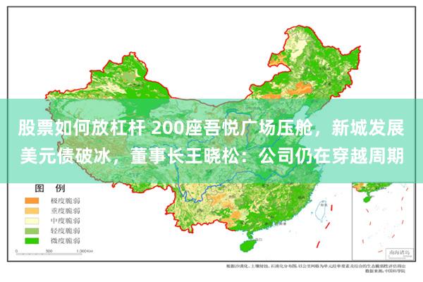 股票如何放杠杆 200座吾悦广场压舱，新城发展美元债破冰，董事长王晓松：公司仍在穿越周期