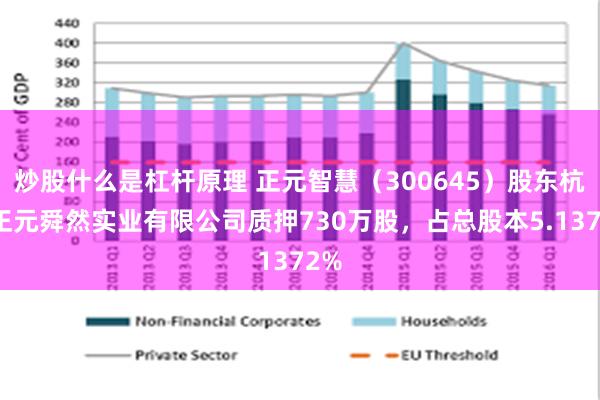 炒股什么是杠杆原理 正元智慧（300645）股东杭州正元舜然实业有限公司质押730万股，占总股本5.1372%