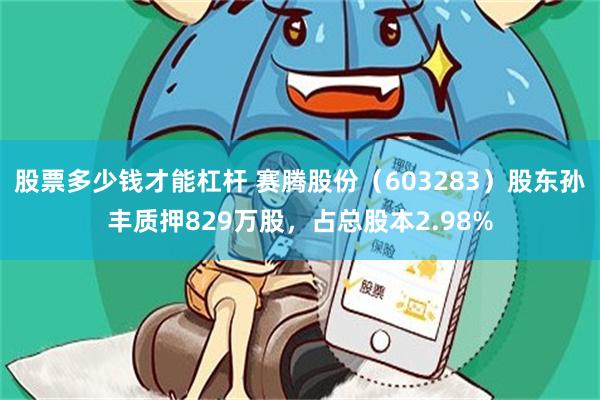 股票多少钱才能杠杆 赛腾股份（603283）股东孙丰质押829万股，占总股本2.98%