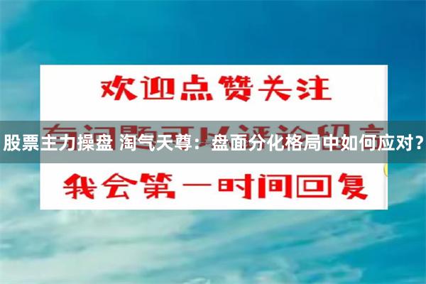 股票主力操盘 淘气天尊：盘面分化格局中如何应对？