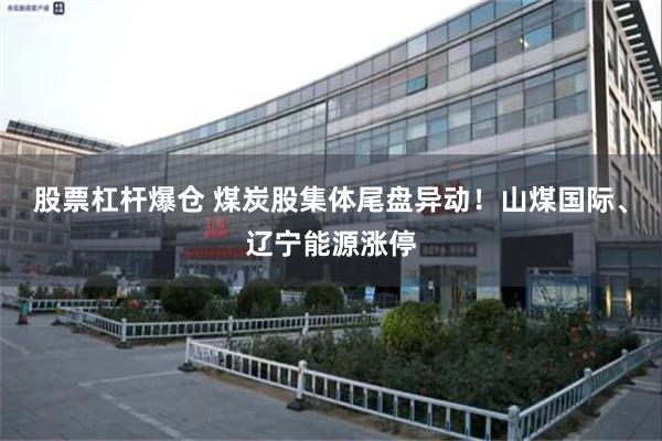 股票杠杆爆仓 煤炭股集体尾盘异动！山煤国际、辽宁能源涨停