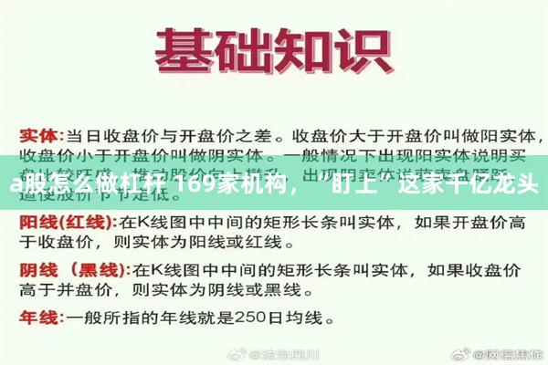 a股怎么做杠杆 169家机构，“盯上”这家千亿龙头