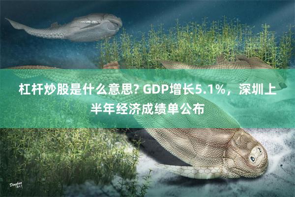 杠杆炒股是什么意思? GDP增长5.1%，深圳上半年经济成绩单公布