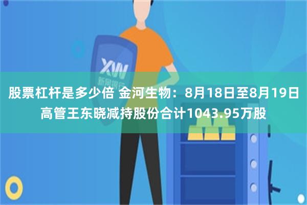 股票杠杆是多少倍 金河生物:8月18日至8月19日高管王东晓减持股份合计1043.95万股