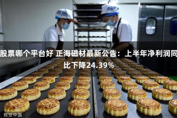 股票哪个平台好 正海磁材最新公告：上半年净利润同比下降24.39%
