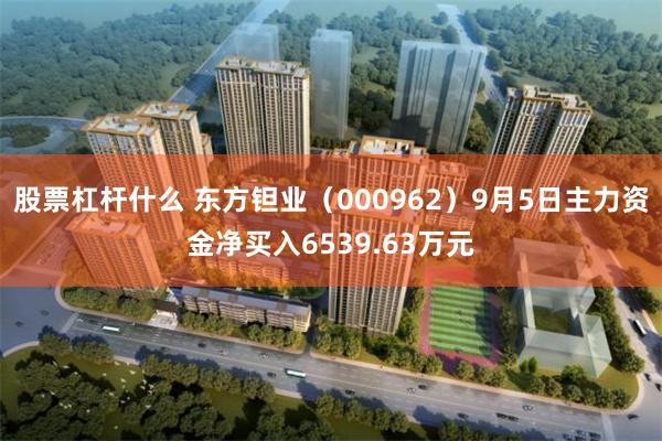 股票杠杆什么 东方钽业（000962）9月5日主力资金净买入6539.63万元