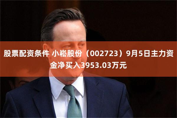 股票配资条件 小崧股份(002723)9月5日主力资金净买入3953.03万元