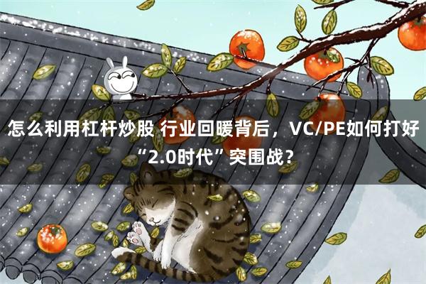 怎么利用杠杆炒股 行业回暖背后，VC/PE如何打好“2.0时代”突围战？