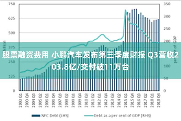 股票融资费用 小鹏汽车发布第三季度财报 Q3营收203.8亿/交付破11万台