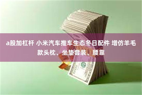 a股加杠杆 小米汽车推车生态冬日配件 增仿羊毛款头枕、坐垫套装、腰靠