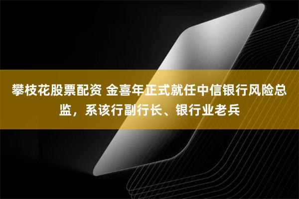攀枝花股票配资 金喜年正式就任中信银行风险总监，系该行副行长、银行业老兵