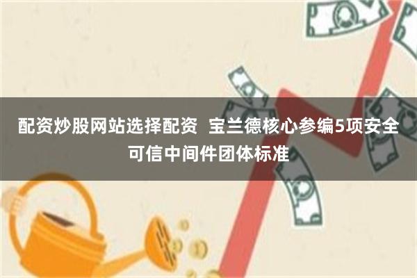 配资炒股网站选择配资  宝兰德核心参编5项安全可信中间件团体标准