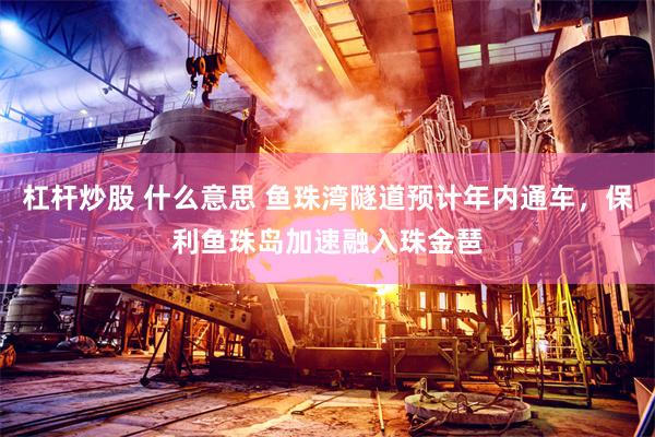杠杆炒股 什么意思 鱼珠湾隧道预计年内通车，保利鱼珠岛加速融入珠金琶