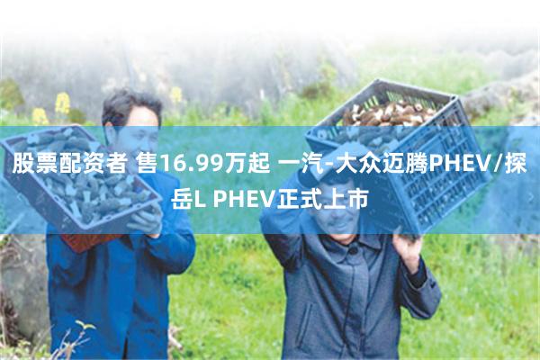 股票配资者 售16.99万起 一汽-大众迈腾PHEV/探岳L PHEV正式上市