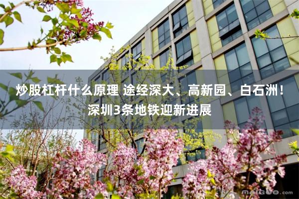 炒股杠杆什么原理 途经深大、高新园、白石洲！深圳3条地铁迎新进展