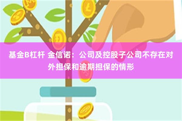 基金B杠杆 金信诺：公司及控股子公司不存在对外担保和逾期担保的情形