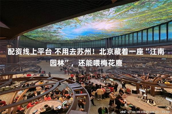 配资线上平台 不用去苏州！北京藏着一座“江南园林”，还能喂梅花鹿