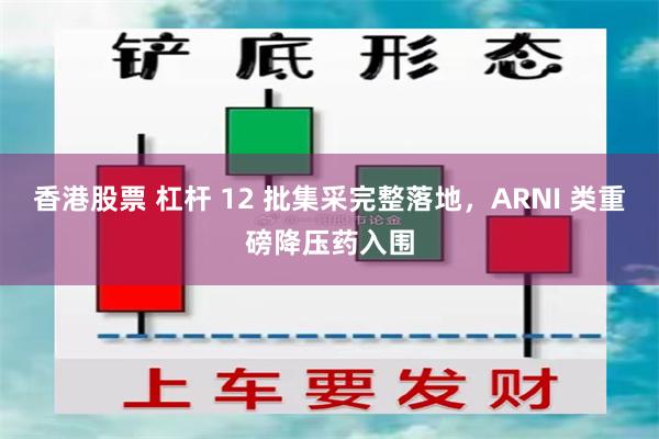 香港股票 杠杆 12 批集采完整落地，ARNI 类重磅降压药入围